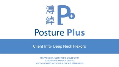 neck flexors 1